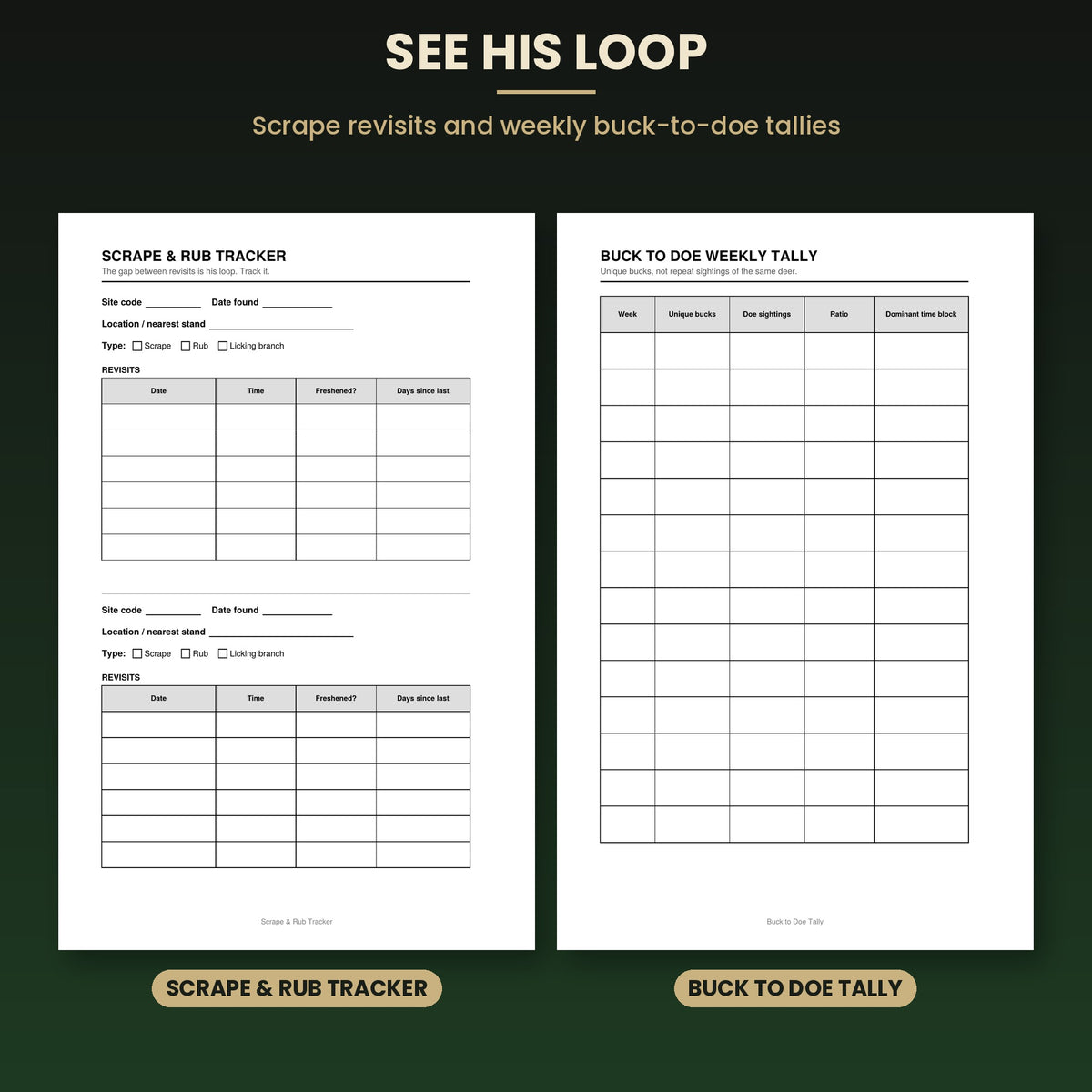The Buck Pattern Book: Texas Whitetail Trail Camera, Feeder & Movement Tracking Journal (Paperback, 96 Pages)