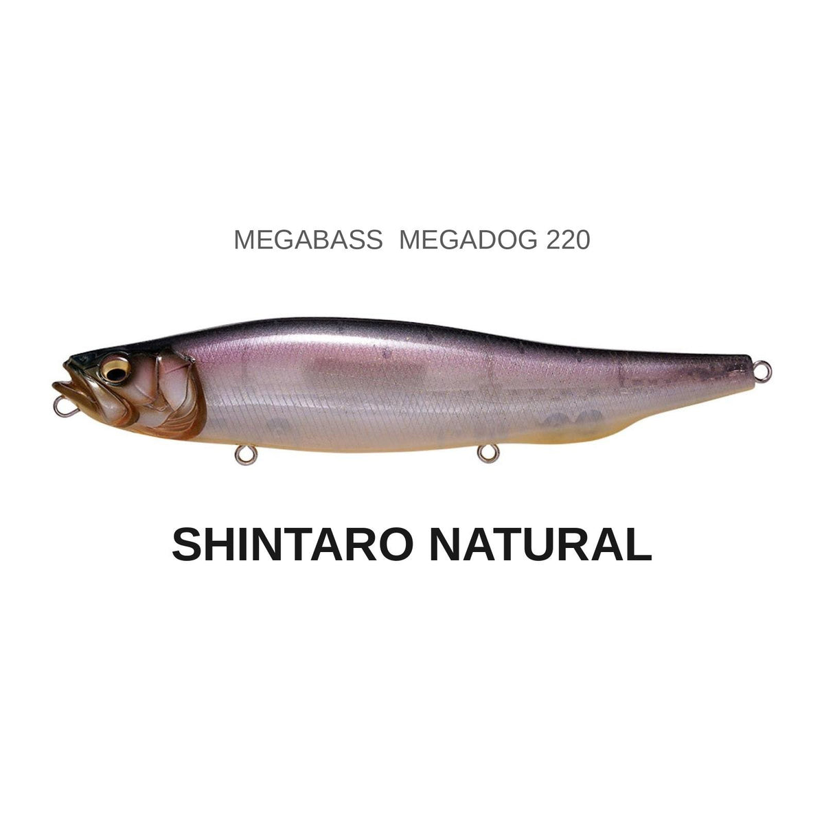 Megabass MEGADOG 220 Shintaro Natural Topwater Pencil Bait
