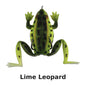LiveTarget Frog Topwater Lure 2-5/8" #2/0 Hook Weedless Bass Fishing Frog - New in Package