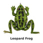 LiveTarget Frog Topwater Lure 2-5/8" #2/0 Hook Weedless Bass Fishing Frog - New in Package
