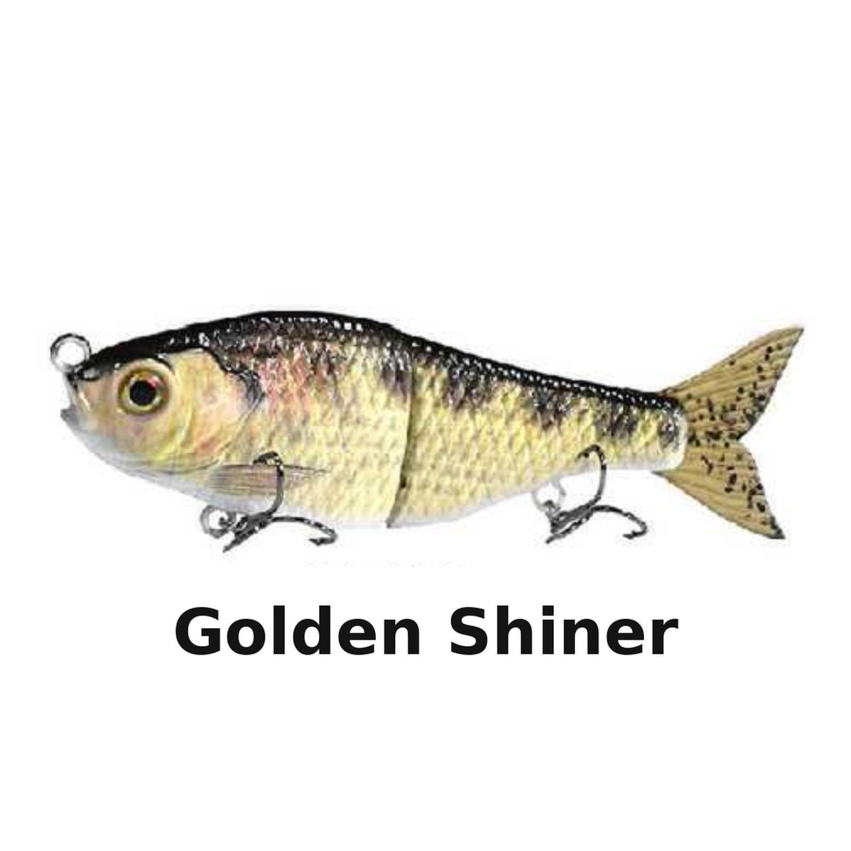 J_Curtis_Customs 5.3" 2-Section Glide Swimbait 1.35oz Slow Sinking Jointed Glide Bait Lure for Bass, Pike, Muskie, Trout & Walleye - 16 Colors