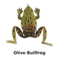 LiveTarget Frog Topwater Lure 2-5/8" #2/0 Hook Weedless Bass Fishing Frog - New in Package