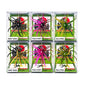Hookset Hybrid 20mm Urchin Lure 6 Pack Bundle Dark Colors Retail Boxed Bass